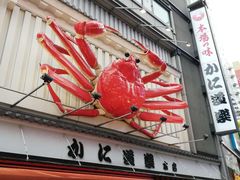 -蟹道乐(道顿堀本店)