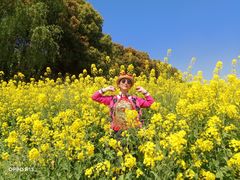 -浦星公路-路侧停车位