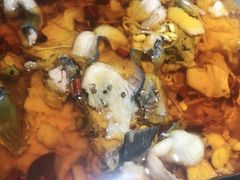 蜀龙阁水煮鱼-雲蜀龙阁·金牌水煮鱼(方庄店)