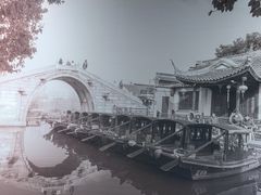 -西塘人家•黑金冠本地好店