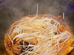 -挂雪铁锅炖大鹅