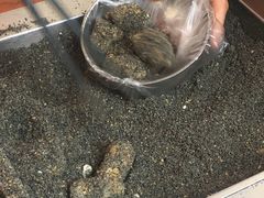 -叶氏麻糍(鼓浪屿店)