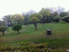 -石家庄市植物园