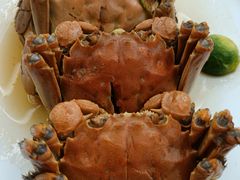 满浸熟醉六月黄蟹-苏小柳点心·手作小笼包(浦东嘉里城分院)