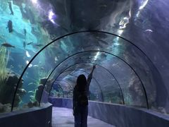 -南昌海洋公园