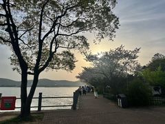 -无锡蠡湖国家湿地公园-蠡园