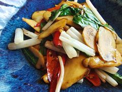傣味楚雄牛肝菌-半山腰·云南菜(侨福芳草地店)