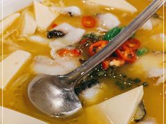 -蜀腾川·火锅鱼.烤鱼(新世界城店)