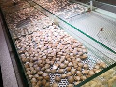 -金权道韩式自助烤肉(嘉华国际店)