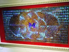 -上海昆虫博物馆