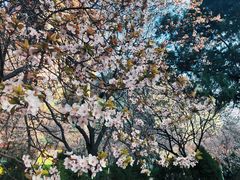 -山东师范大学(千佛山校区)