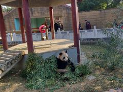 -杭州野生动物世界