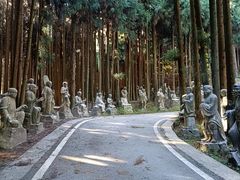 -武陵山森林公园