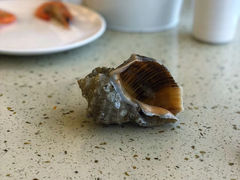 -港畔赶海蒸汽海鲜烧烤自助(仙螺岛店)