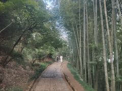 -径山寺