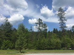 -五营红松林海景区