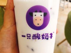 -一只酸奶牛(八一路店)