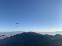 -费特希耶滑翔伞