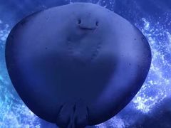 -南昌融创海世界