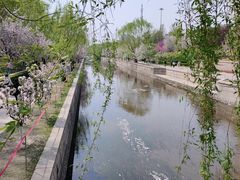 -元大都城垣遗址公园