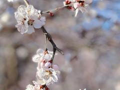 -瀛海足球主题公园