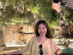 -拉斯维加斯永利酒店