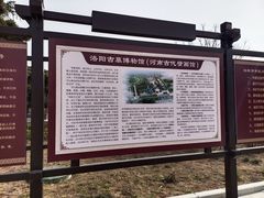 -洛阳古墓博物馆