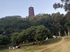 -红花山公园