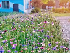 -仙海旅游度假区