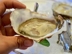 -Oyster Talks 四度蚝法餐厅