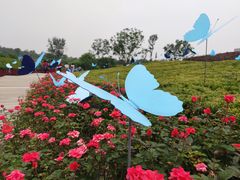 景点-天府芙蓉园