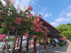 -济南大明湖景区