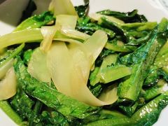 莴笋叶-壹盏灯(惠农店)