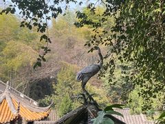 -杭州黄龙洞