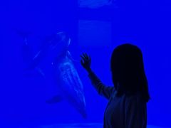 -多彩贵州城极地海洋世界