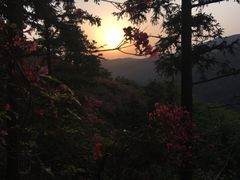 -木兰云雾山