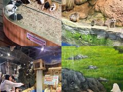 -正佳雨林生态植物园