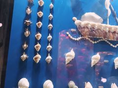 -苏州海洋馆