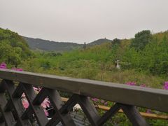 -旺山·浪头人家