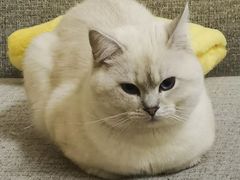 -麦当劳(无锡永乐店)