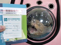 -美联众合动物医院·24h京西诊疗中心