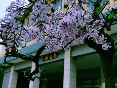 -山东师范大学(千佛山校区)