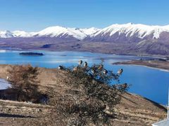 -Pedro's House of Lamb(基督城)