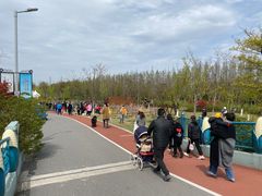 -上海长兴岛郊野公园