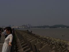 -吴淞炮台湾湿地森林公园烧烤区
