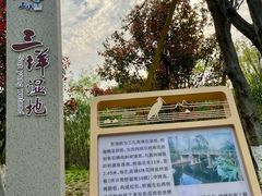 -三垟湿地
