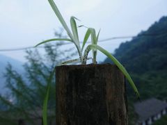夜色青城山-亦缘居私家别院