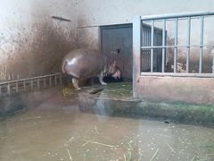 -无锡动物园·太湖欢乐园