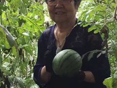 -万源龙顺度假庄园生态观光园