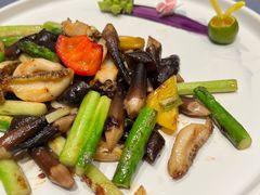 鸡枞菌鲍鱼-顺峰(农展馆店)